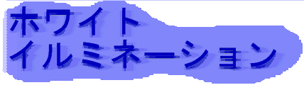 ホワイトイルミネーション